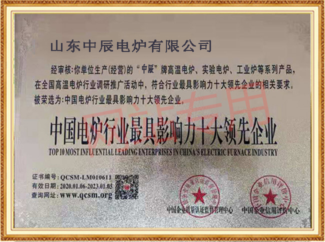 中国电炉行业具影响力十大领先企业